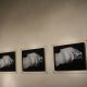 Goran Bertok / Still life