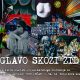 Tina Drčar, Z glavo skozi zid 