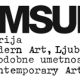 MG+MSUM_tekst_web resolution_INTER2